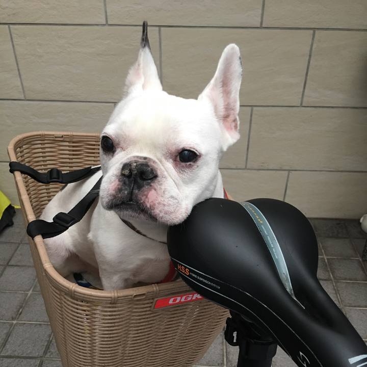 86a45933 0831 426d 96f3 174c38dd8a33 1553840847035