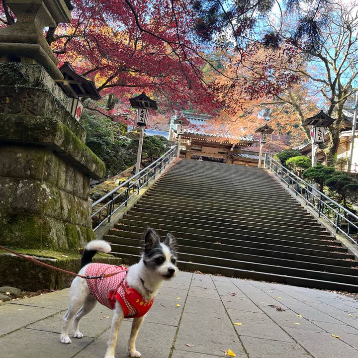 86a46834 583d 443d 99b0 f2b6e6cdfa7c 1733663532629