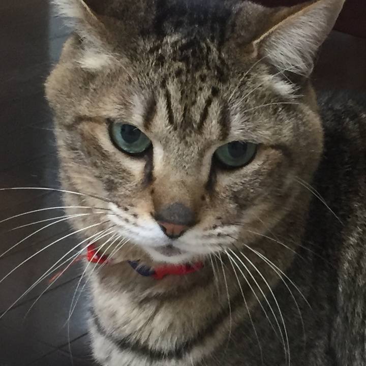 86a47f64 30f3 4b13 aaab 3aa7001884a6 1598139070399