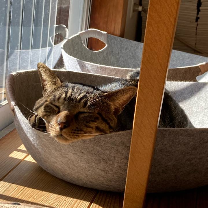 86a4a38f 3e9b 4c84 a78d 55f569ff4949 1669436477239