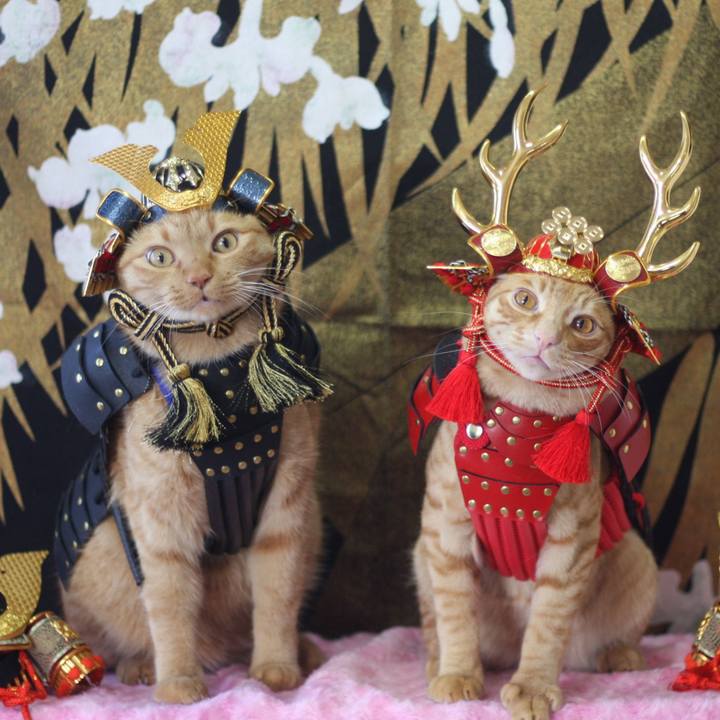 86a4d5d2 9071 49e9 af76 8a4111b99a50 1683244691148