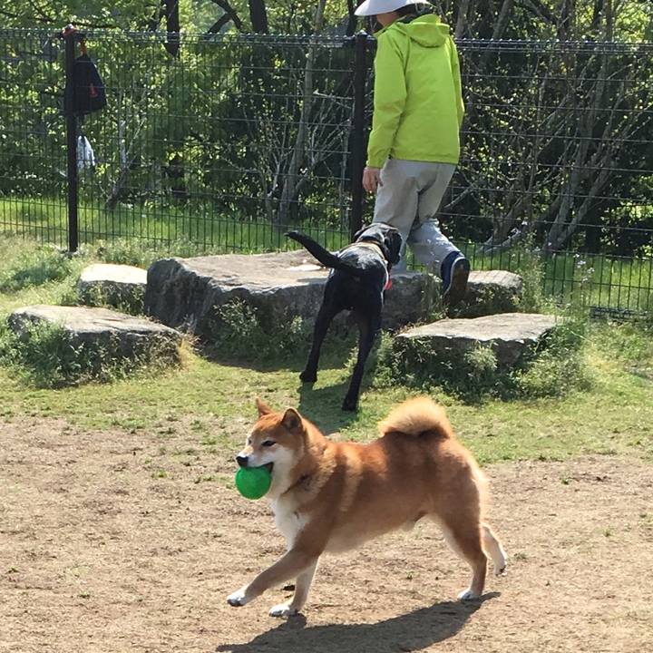 86a4eb6d 739b 4d7c 86cd 430e0339b213 1557028197111