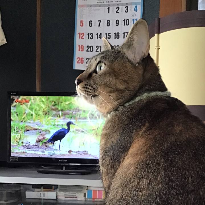 86a504f2 5678 40ce b39f 37f751f055fb 1639872225182