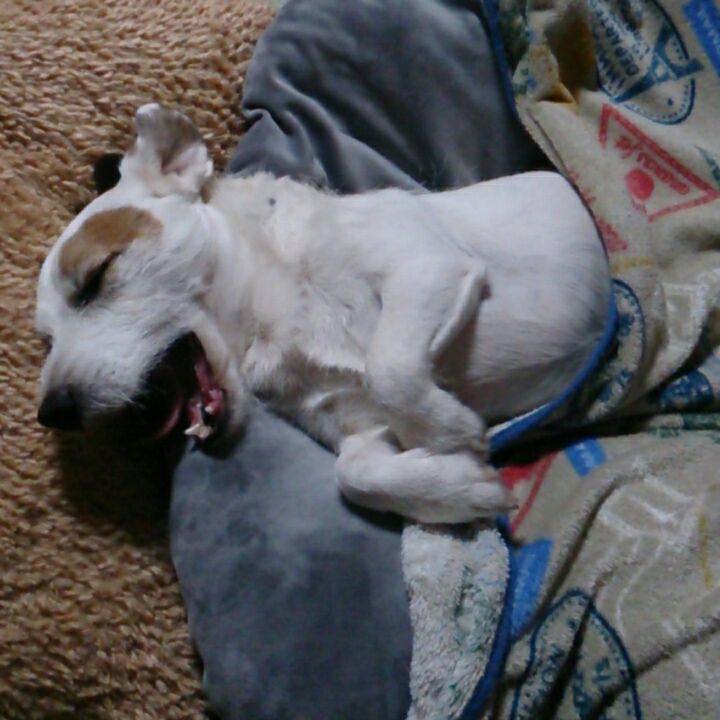 86a52c17 bf54 4121 987b 649965ee51c5 1525017010640