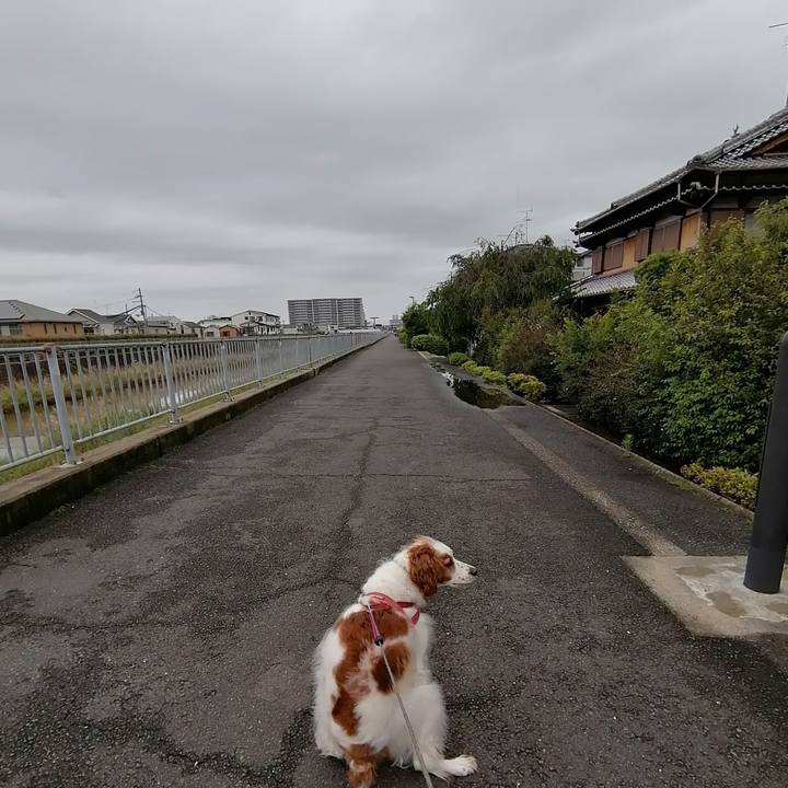 86a569bf d8f1 40db 88e6 1f7279489e87 1622104028442