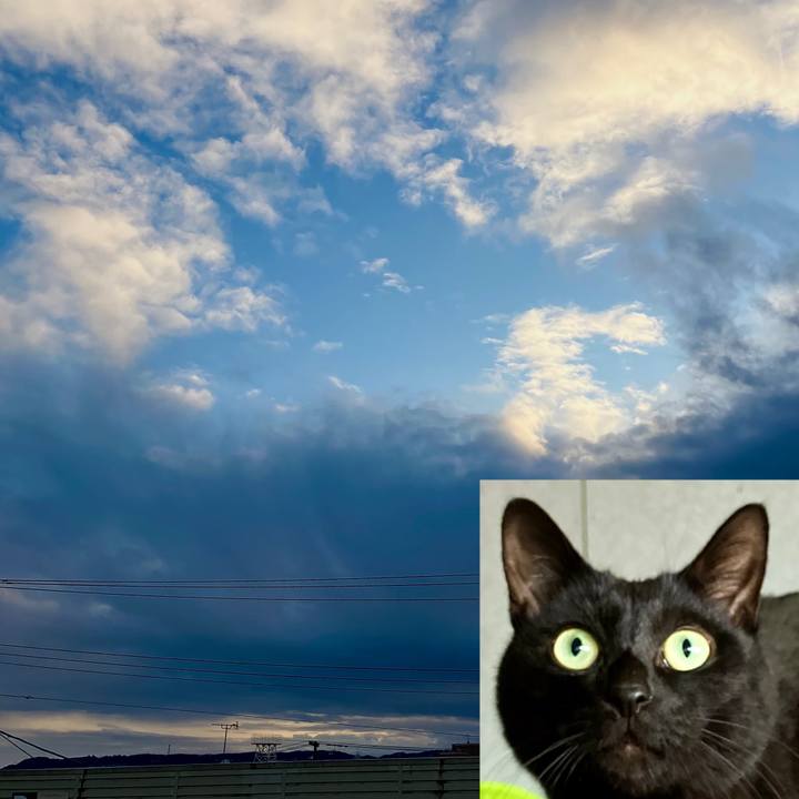 86a59e55 f5df 4a9a 82af 5b1166a54283 1764154578659