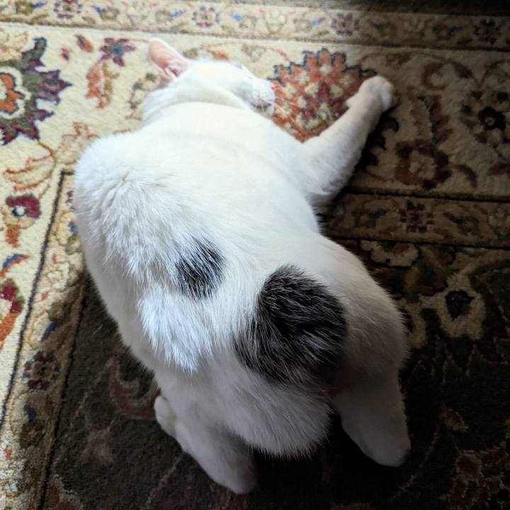 86a5a532 ebb5 4fc0 a1f1 b9d6b001ee1a 1702287025425