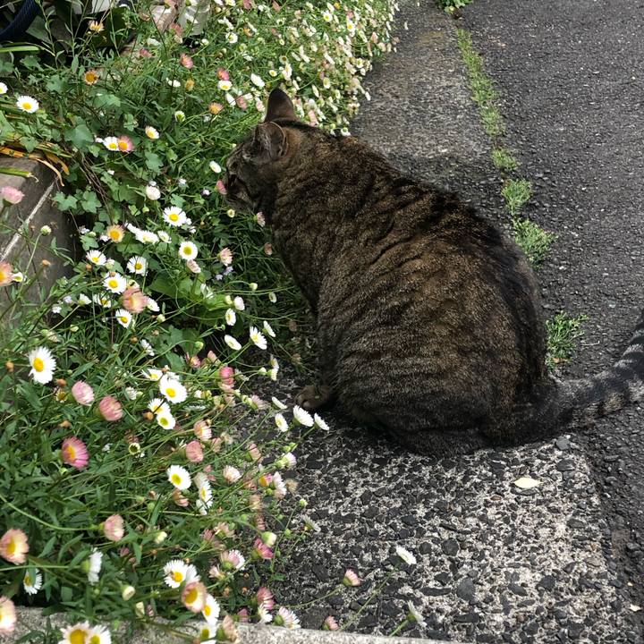 86a5bb42 a967 42aa 9028 3f94bfe14054 1589020234321