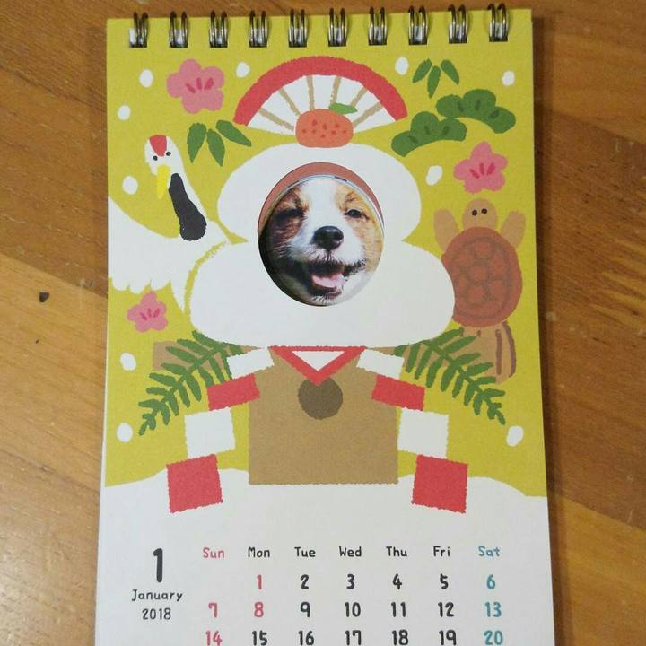 86a61b3b 9bf9 41f4 9ac3 c3b898c70df5 1512102788237