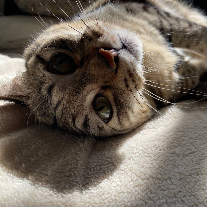 86a62a4c 00cb 4382 8bbd 95d23c38e280 1667108135270