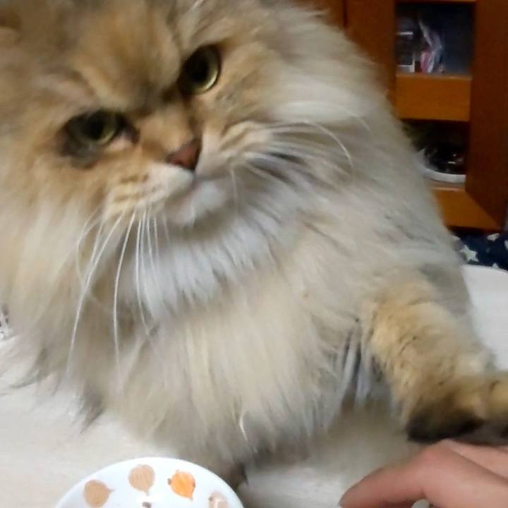 86a6bb9d f8b5 4267 aa6b 1cdc282b5a9f 1606636713240