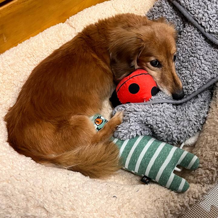 86a6c243 0258 4e97 a86a 0d834bae3fde 1650456444491