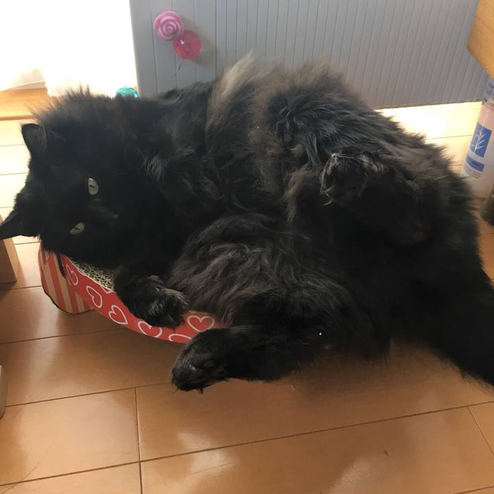 86a70199 dadc 44ef 95e0 992d93b2d275 1549953935478