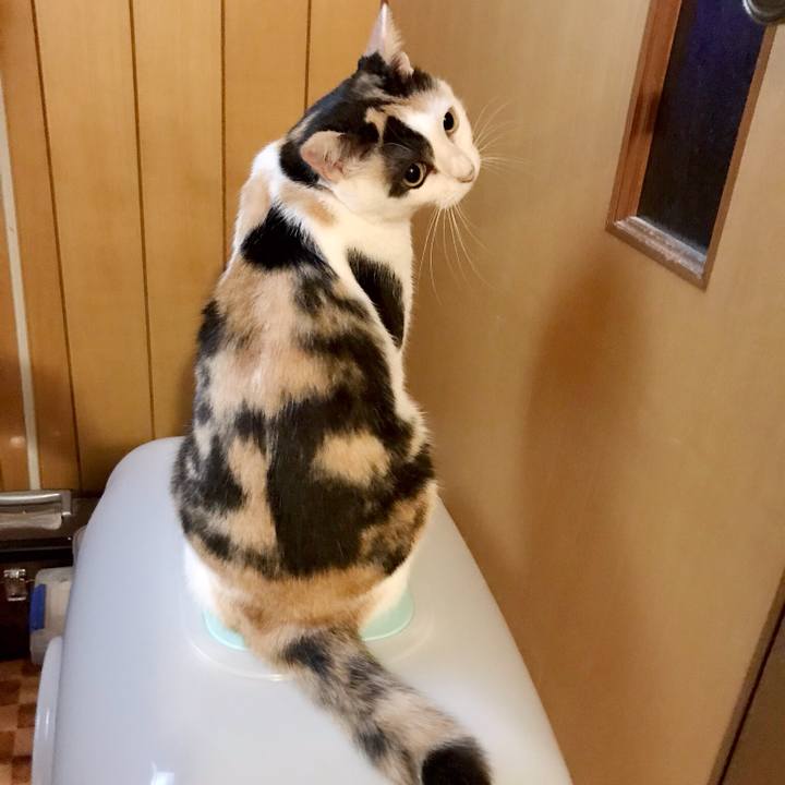 86a755eb 50b4 4b62 a248 a57277192205 1535986964275