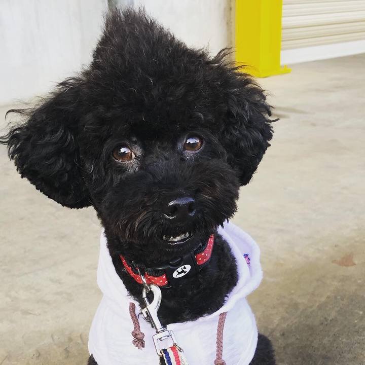 86a7a7fe b3f7 44ed 8aad 193d2877c52d 1575093008700