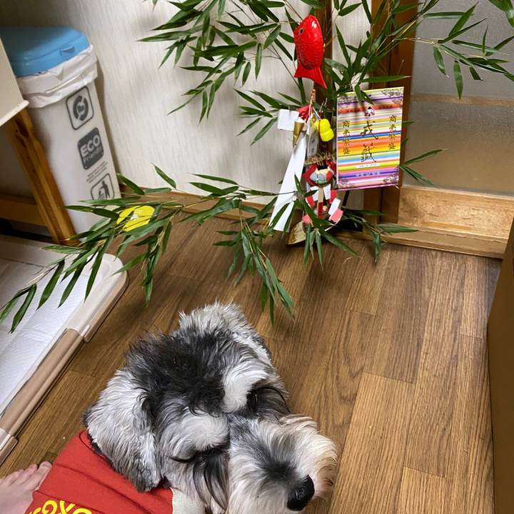 86a7b667 9612 401b 899e dae4cc235f09 1578674776821