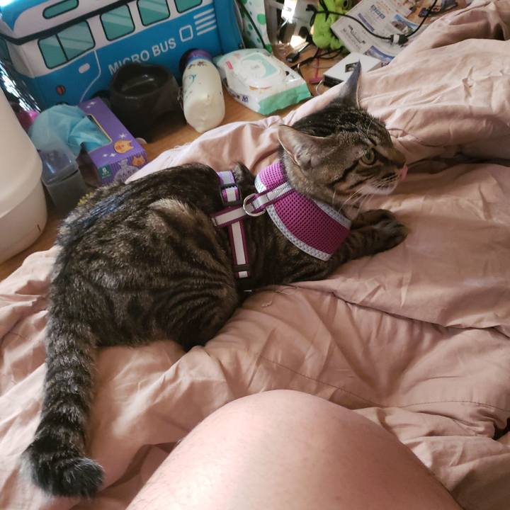 86a84383 f08a 47b7 9f3b 8c6783eb946e 1542951632889