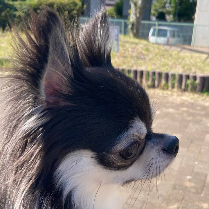 86a882b9 b58e 406c baae 4ffd798bcab3 1636174425639