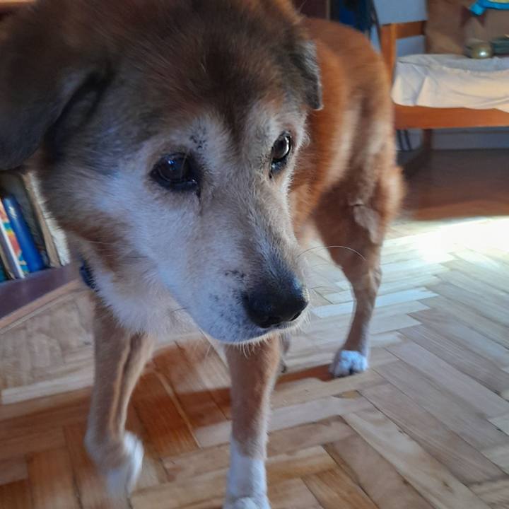 86a8adc1 ab90 4efd 9b5e 9cc9cc12d439 1756398968120