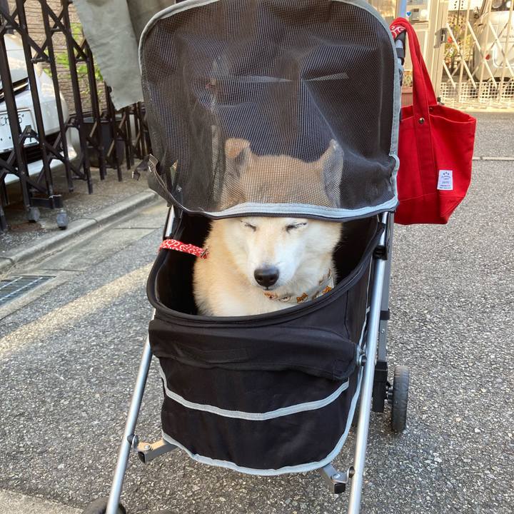 86a8d156 61fd 4cab 9cda a057f09cbeda 1637146882991