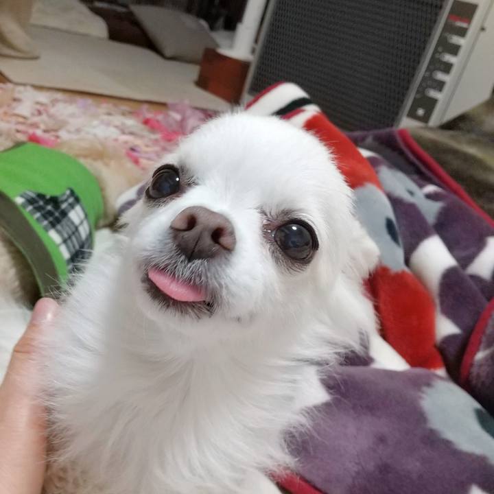 86a8d1fb a079 43fb 8e73 db939639d7d2 1610624797756