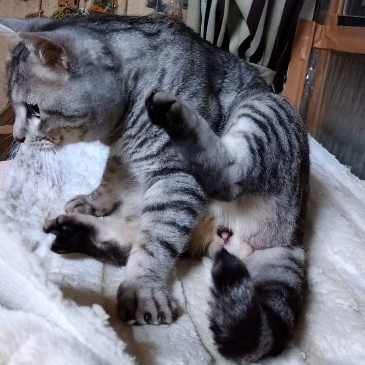 86a90675 3a34 483b abb5 586f7ecf950d 1668329681642