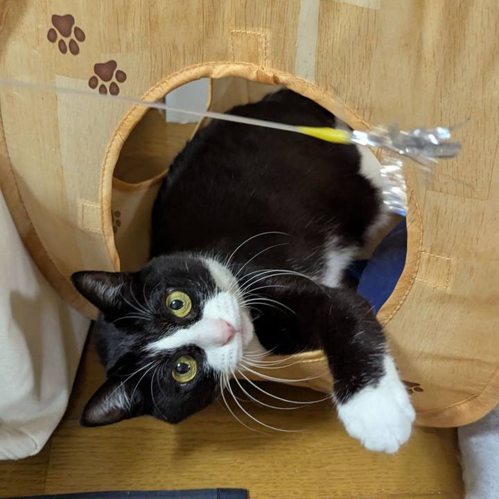 86a92ad6 ff64 45ca 8af3 432414c7736b 1762841177994