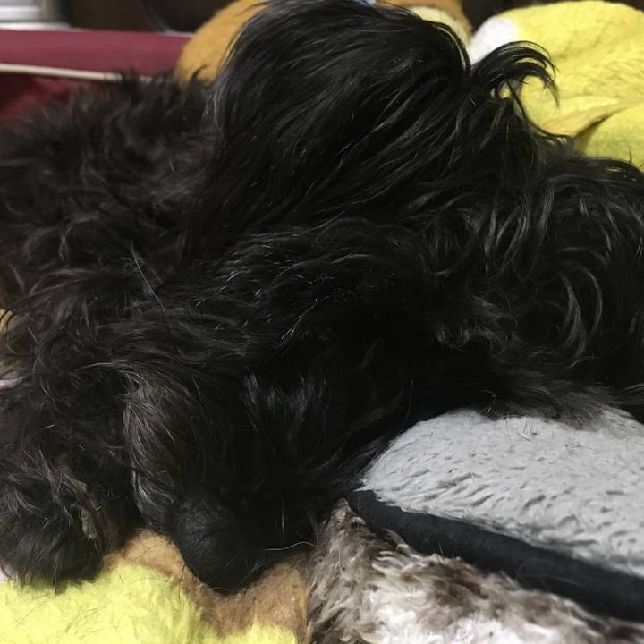 86a92b04 8b69 45b7 979f 512118ddf6f7 1518235465396