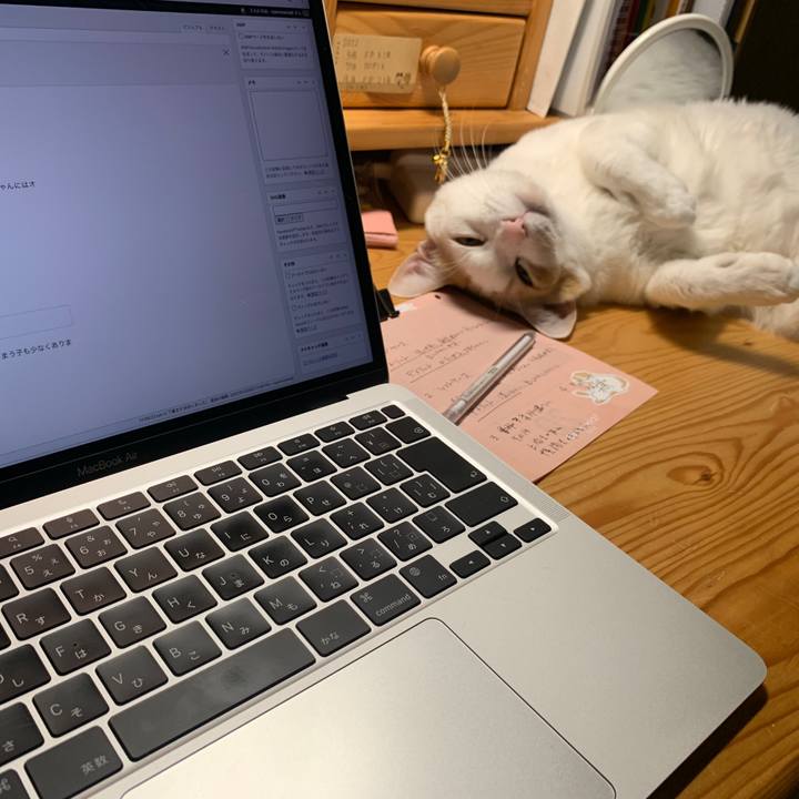 86a92d45 d94f 4bc6 a0db 71e2339a5ddb 1643206317902