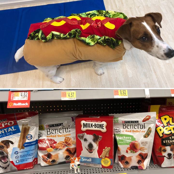 86a93aa8 19cd 4790 820d 3a243c5f710c 1569112978836