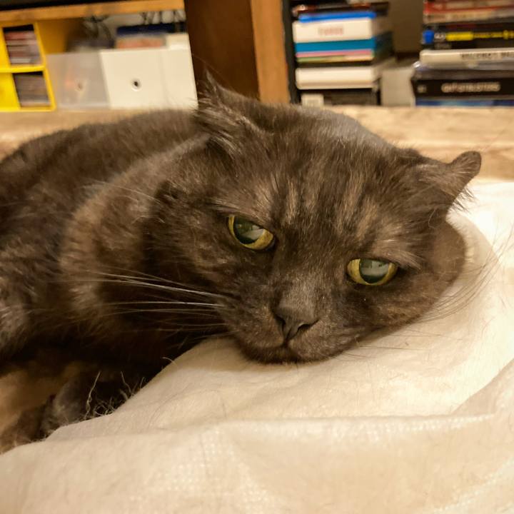 86a97326 7ff4 4f4c 851d 23caff98061c 1623945207131