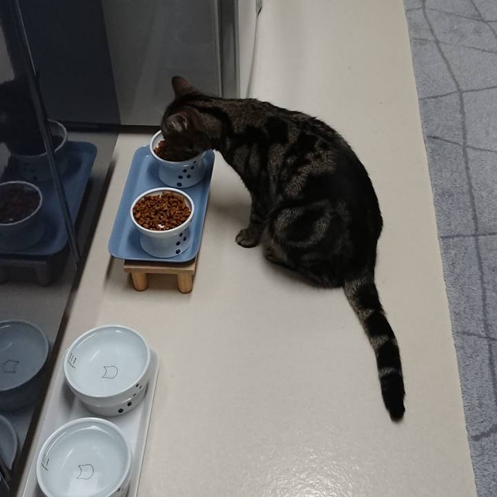 86a9891d 13f3 4f16 87a9 956a141c177c 1550528593891