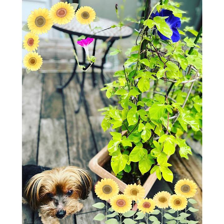 86a9e267 819a 4c49 b645 cfb4a0e0387b 1659738172738