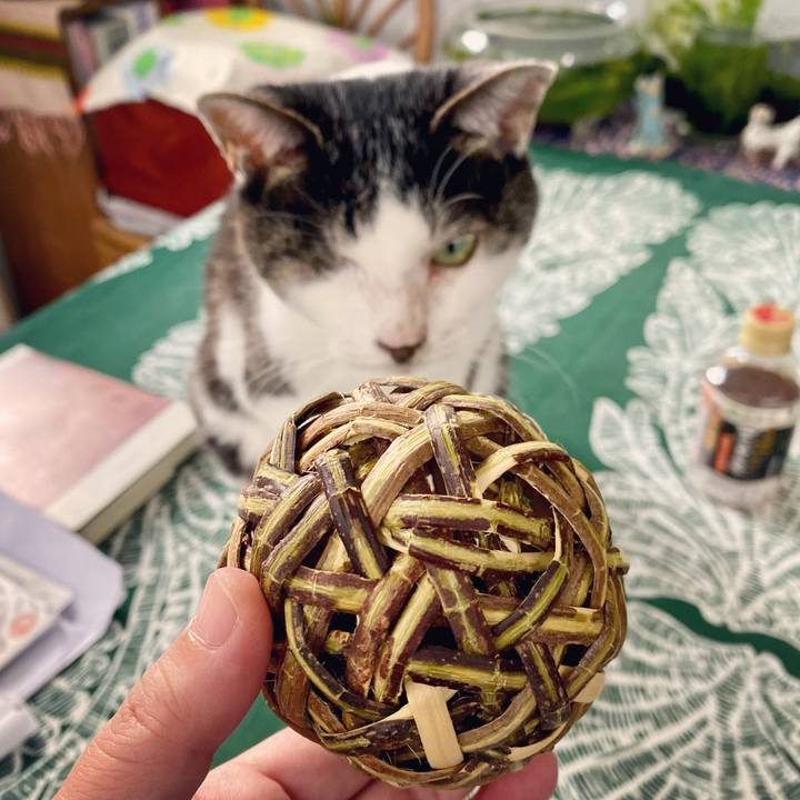 86aa0509 9220 4787 b2c7 4012c8df947d 1640404987035