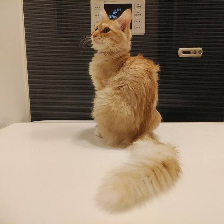 86aa44df be6d 4db9 8301 17eddd889b4e 1611565413276