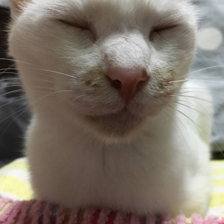 86aa762a 20ec 461c b217 aec00fc75caa 1531039462061