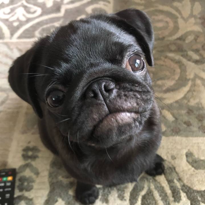 86aa96aa 4075 4d83 bfe7 52a2c0963a1c 1593243431875