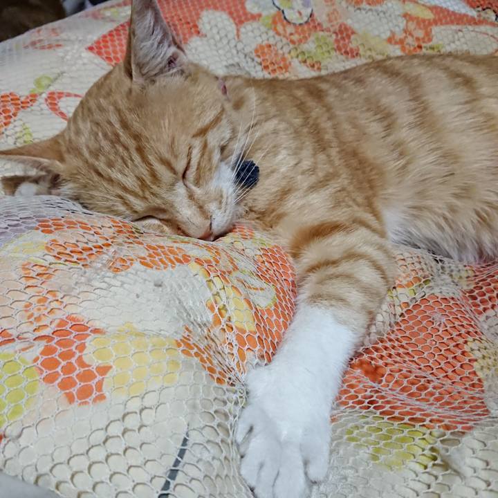 86aa9cb8 9dd4 4090 a124 8218923bf97e 1561468762702