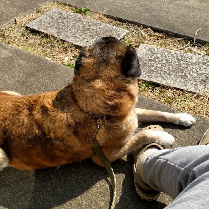 86aaec03 e04f 436c a604 c25caef13b40 1519703837563