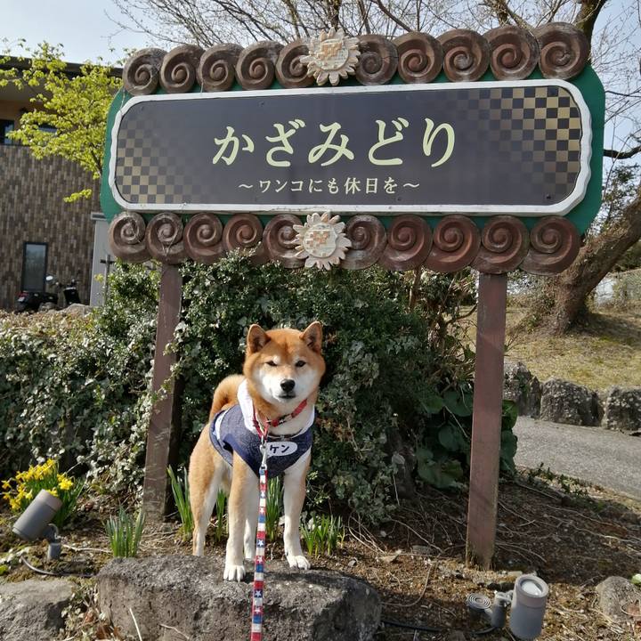 86aafcca 1aea 45b4 8bc0 f9f648dc17fa 1648038841237