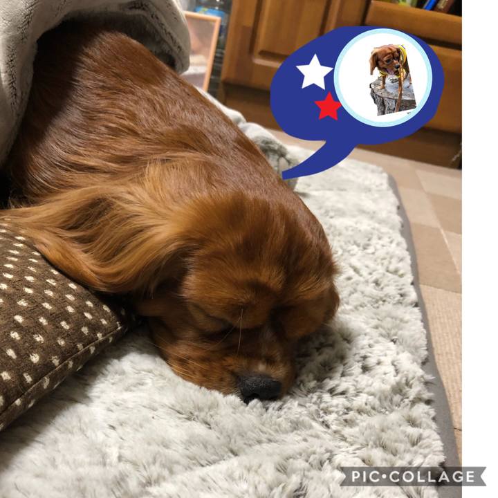 86ab06f4 fe36 46b6 9592 a9f34de92747 1544960069235