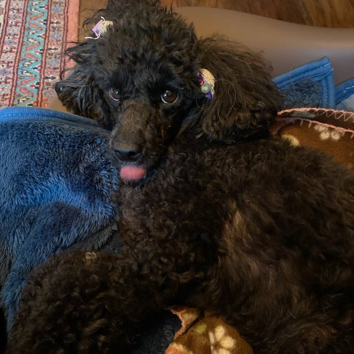 86ab2c50 fd8d 4970 8c37 c4ef84c4f249 1621129949304