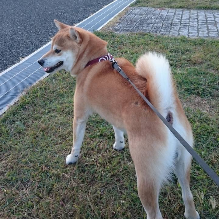 86ab7e40 822e 49b6 9fdd d71bf309f47d 1761656018000