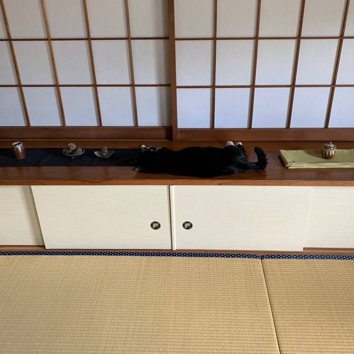 86abb206 8a1d 45e0 b47f 45f153ae1a48 1567300538732