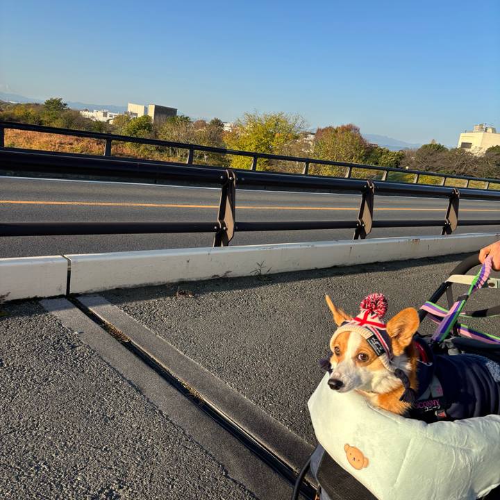 86ac3715 149a 4448 b11c 4a682a4ee62a 1764459188804