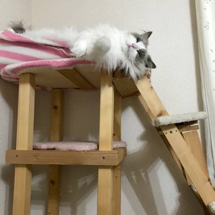 86ac5996 2f9f 4a3d 8ae5 e590d5a0a59b 1580550059985