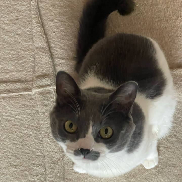 86ac6e12 c689 4565 a68a 8163e5ca9a8a 1738195392214