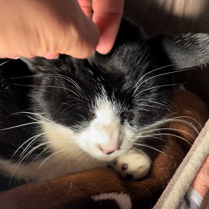 86ac798e 53ac 4de8 ab97 2175982377a6 1675819088409