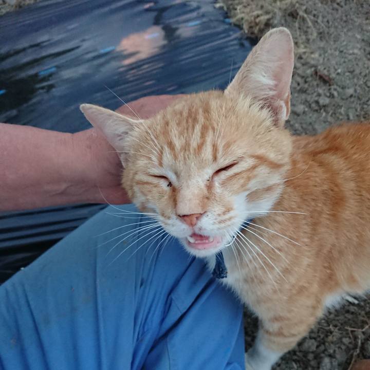 86ac7aa4 262b 47c8 9436 4d29a32bc5e2 1559556115053