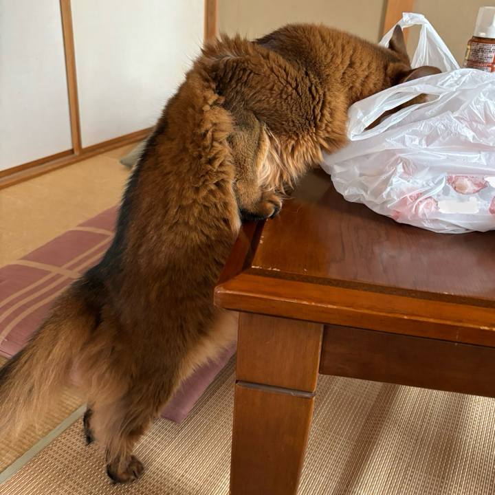 86ac81dc d443 43ab 881e 63dd35ee5439 1756689591967